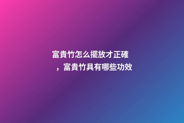 富貴竹怎么擺放才正確，富貴竹具有哪些功效